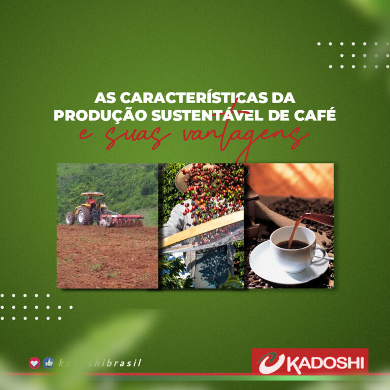 produção de café